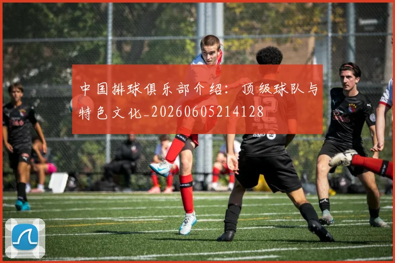 中国排球俱乐部介绍：顶级球队与特色文化_20260605214128