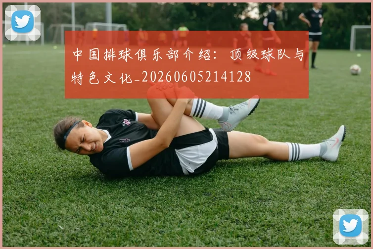 中国排球俱乐部介绍：顶级球队与特色文化_20260605214128